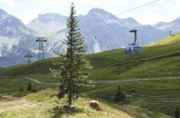 Machen Sie Ferien zuhause - zum Beispiel in Graubünden und gehen Sie ins Bärenland nach Davos.