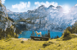 Oescheningsee - einer der schönsten Seen der Schweiz