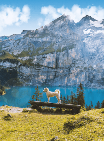 Oescheningsee - einer der schönsten Seen der Schweiz